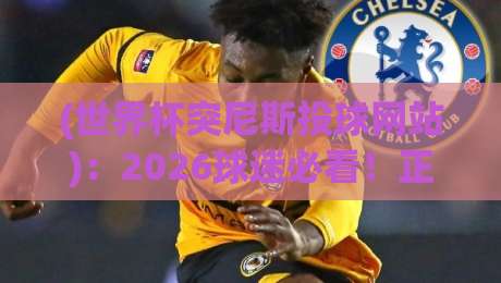 (世界杯突尼斯投球网站)：2026球迷必看！正规平台怎么选？避坑指南+实测反馈
