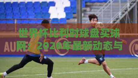 世界杯比利时球盘买球网：2026年最新动态与高手心得