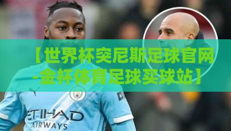 【世界杯突尼斯足球官网-金杯体育足球买球站】：2026年世界杯观赛与投注全攻略