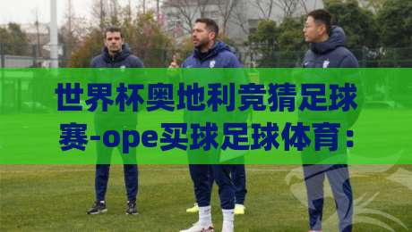 世界杯奥地利竞猜足球赛-ope买球足球体育：2026年球迷必看的下注指南与赛事分析