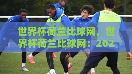 世界杯荷兰比球网,世界杯荷兰比球网:2026年看球指南与实战攻略