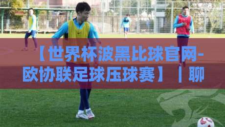 【世界杯波黑比球官网-欧协联足球压球赛】|聊聊2026年波黑队世预赛前景与欧协联投注那些事儿