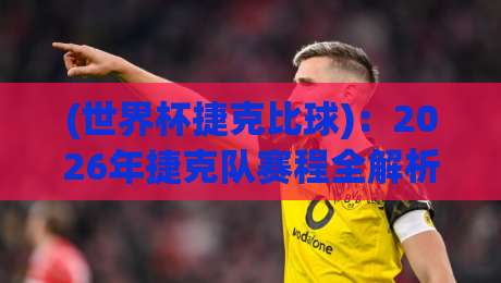 (世界杯捷克比球):2026年捷克队赛程全解析与爆冷潜力