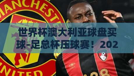 世界杯澳大利亚球盘买球-足总杯压球赛！2026年博彩玩家进阶攻略