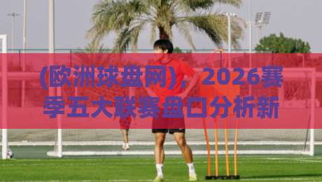 (欧洲球盘网)，2026赛季五大联赛盘口分析新趋势