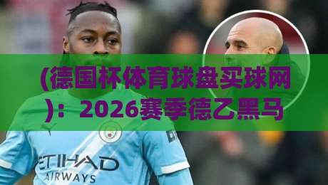 (德国杯体育球盘买球网)：2026赛季德乙黑马与冷门趋势解析
