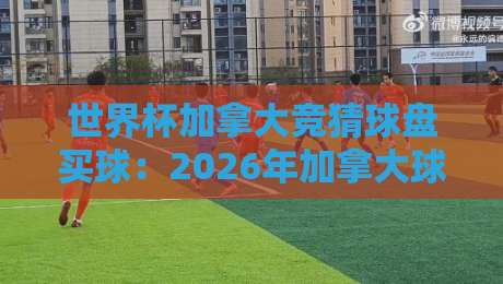 世界杯加拿大竞猜球盘买球：2026年加拿大球迷的投注指南与避坑攻略