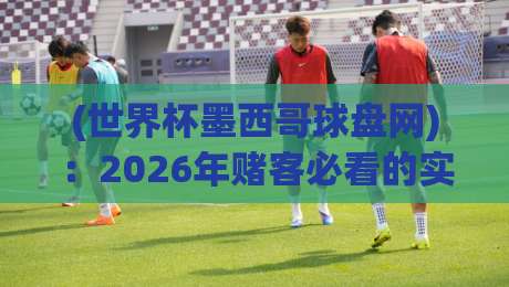 (世界杯墨西哥球盘网)：2026年赌客必看的实战指南与避坑技巧