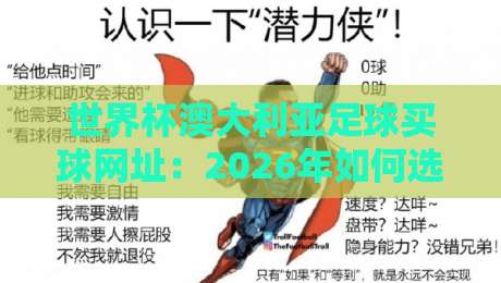 世界杯澳大利亚足球买球网址：2026年如何选择靠谱平台？
