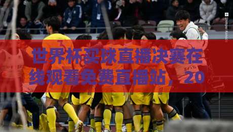 世界杯买球直播决赛在线观看免费直播站,2026终极观赛指南