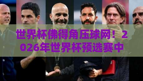 世界杯佛得角压球网！2026年世界杯预选赛中的神秘战术与实战解析